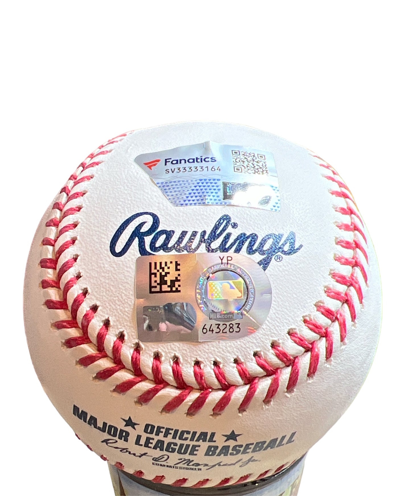 Anthony Volpe Autograph Baseball