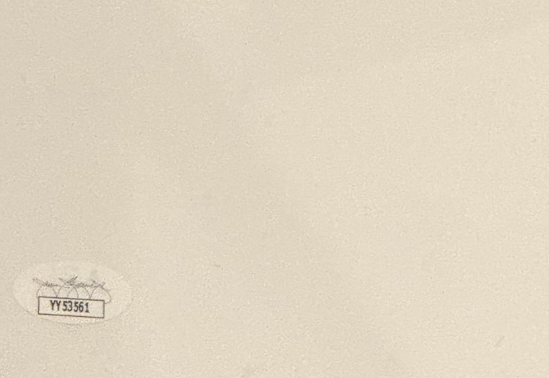 Adele Autographed In Studio Walmart Soundcheck Poster (JSA) (LOA)